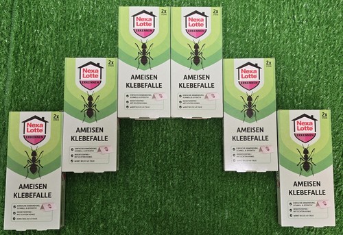6x2 nexa - (3,20€/stück),